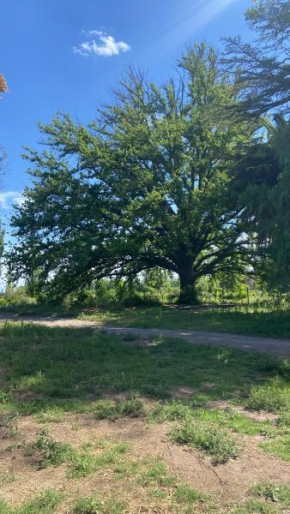 Finca Macalicia